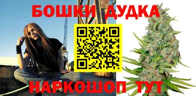 стафф Новокубанск
