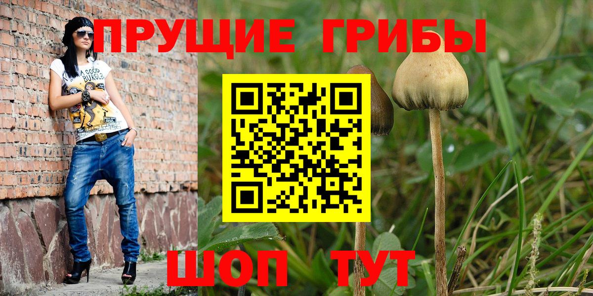 Холмск  Псилоцибиновые грибы MAGIC MUSHROOMS  Вход с VPN 