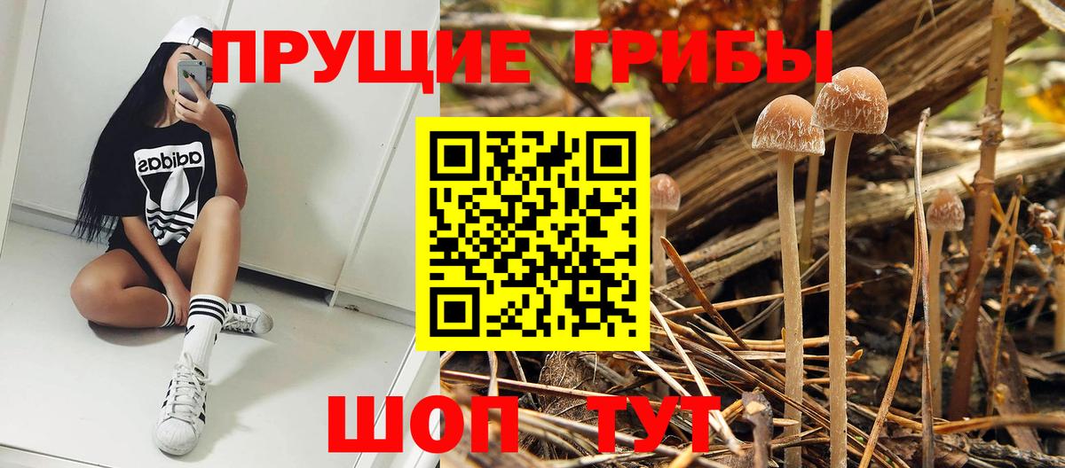 Галлюциногенные грибы мицелий Холмск